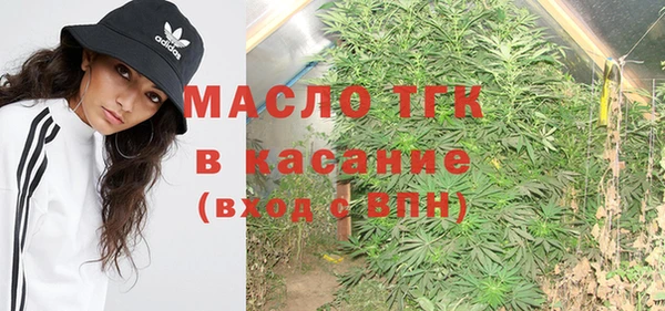 прущие грибы Инсар