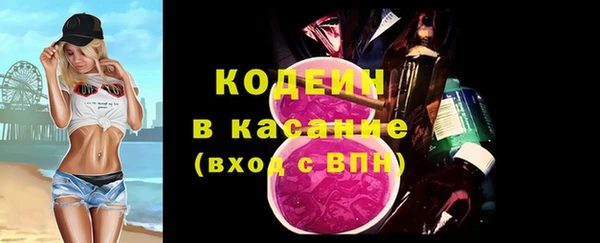 прущие грибы Инсар