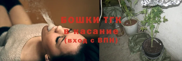 прущие грибы Инсар