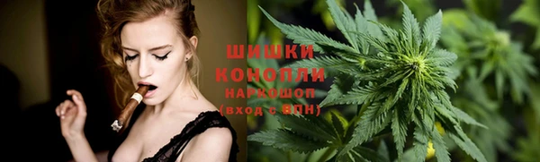 тгк Инта