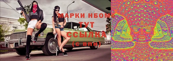 прущие грибы Инсар