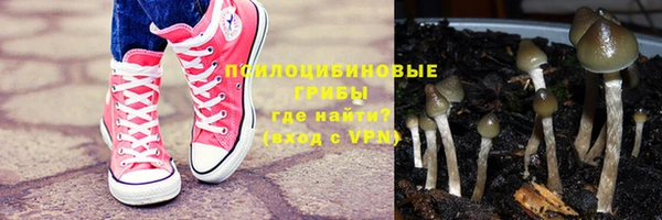 прущие грибы Инсар