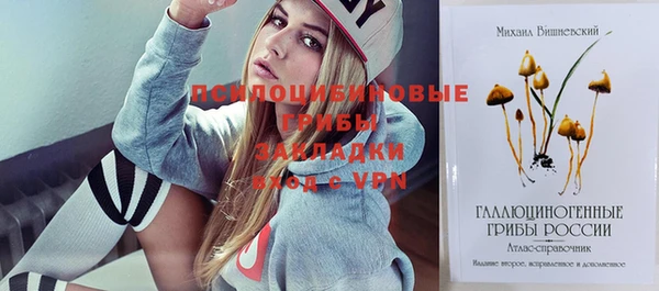 прущие грибы Инсар