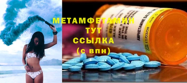 прущие грибы Инсар