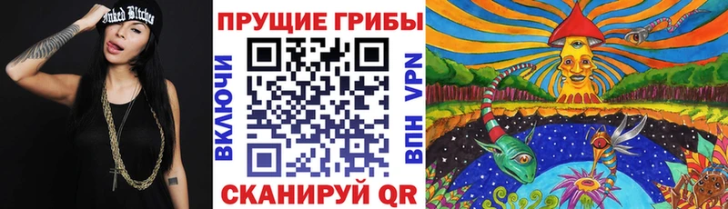Галлюциногенные грибы GOLDEN TEACHER  Купить  Благодарный 